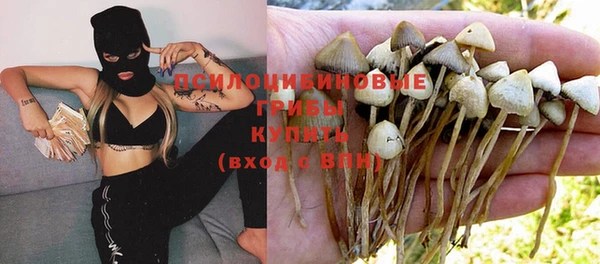 а пвп мука Алексин