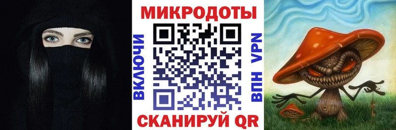 Галлюциногенные грибы Psilocybine cubensis Арзамас